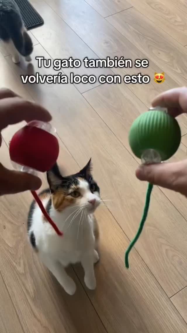 Ruffitos Probióticos